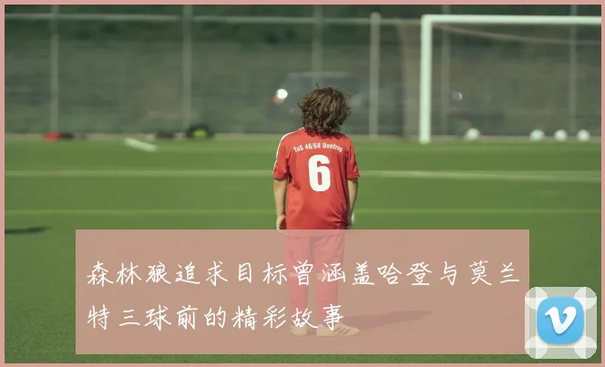 森林狼追求目标曾涵盖哈登与莫兰特三球前的精彩故事
