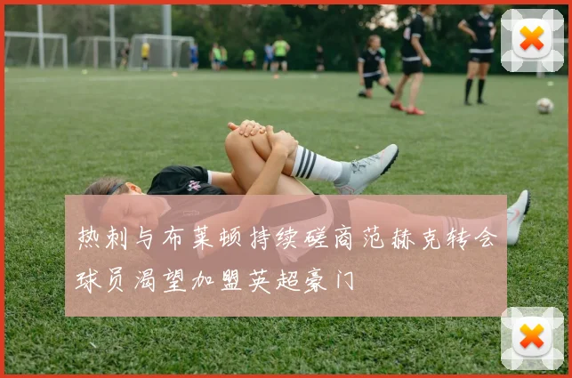 热刺与布莱顿持续磋商范赫克转会球员渴望加盟英超豪门